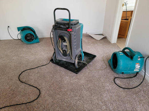 Best Water damage contractors near me  in Banning, CA