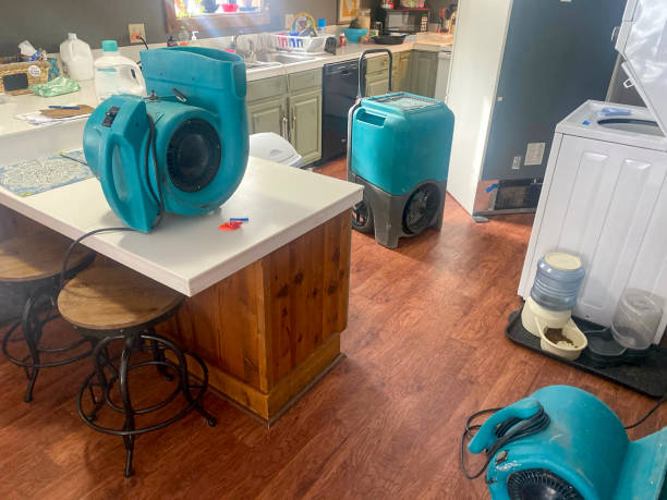 Best Water damage repair service  in Banning, CA